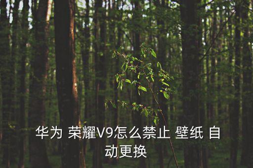  華為 榮耀V9怎么禁止 壁紙 自動(dòng)更換