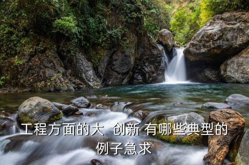 工程方面的大  創(chuàng)新 有哪些典型的例子急求