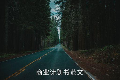 商業(yè)計劃書范文
