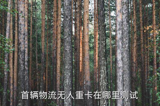 首輛物流無人重卡在哪里測試