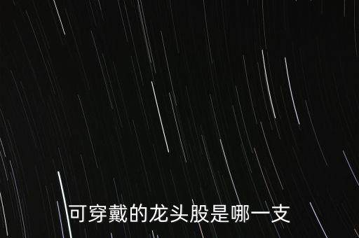 智能可穿戴產(chǎn)品十大龍頭公司，可穿戴的龍頭股是哪一支