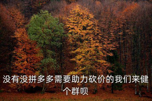 沒有沒拼多多需要助力砍價的我們來健個群唄