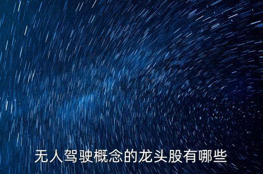 自動駕駛軟件龍頭股，無人駕駛概念的龍頭股有哪些