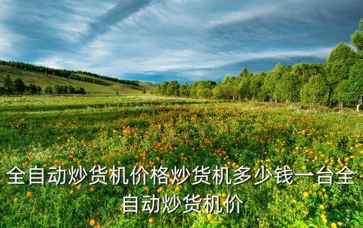 全自動(dòng)炒貨機(jī)價(jià)格炒貨機(jī)多少錢一臺(tái)全自動(dòng)炒貨機(jī)價(jià)