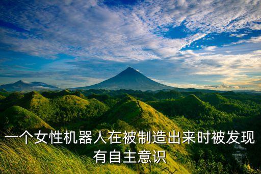 一個(gè)女性機(jī)器人在被制造出來時(shí)被發(fā)現(xiàn)有自主意識(shí)