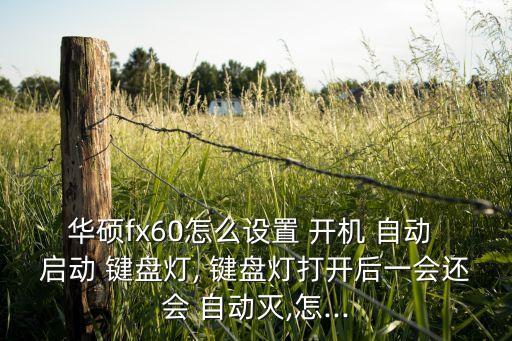 開(kāi)機(jī)自動(dòng)啟動(dòng)鍵盤背光,光傳感器功能關(guān)閉鍵盤led燈亮起調(diào)光