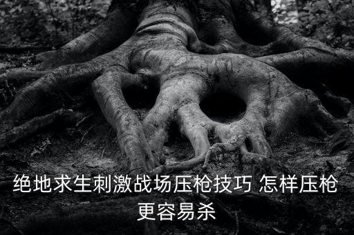 刺激戰(zhàn)場絕地求生，刺激戰(zhàn)場怎樣用電腦玩