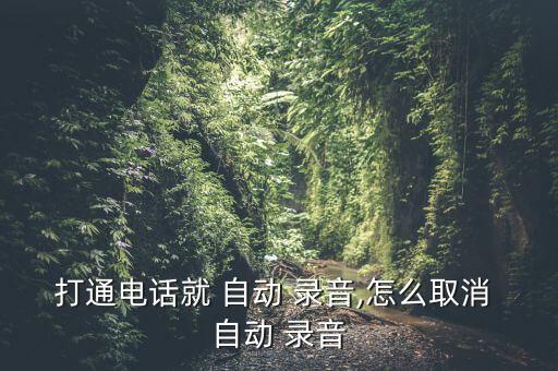 打通電話就 自動(dòng) 錄音,怎么取消 自動(dòng) 錄音