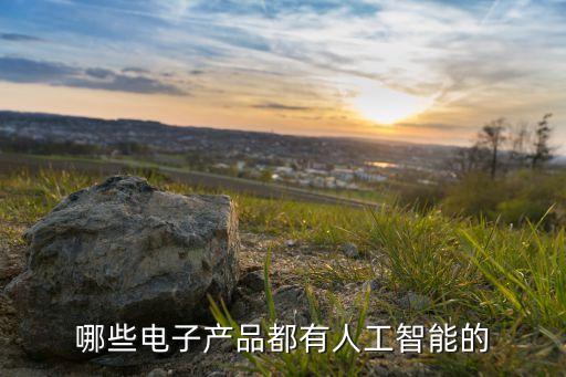 哪些電子產(chǎn)品都有人工智能的