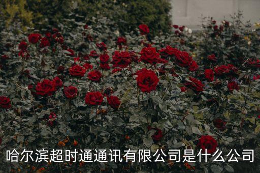 哈爾濱超時(shí)通通訊有限公司是什么公司