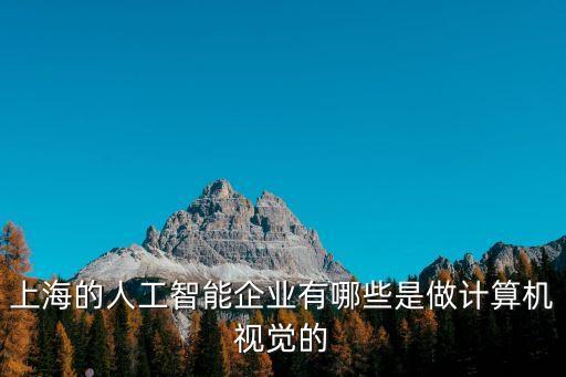 上海的人工智能企業(yè)有哪些是做計(jì)算機(jī)視覺的