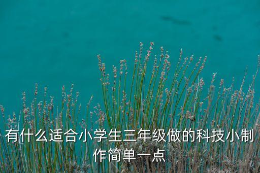 三年級(jí)科學(xué)手工制作大全，小學(xué)生三年級(jí)科學(xué)小制作簡(jiǎn)單一點(diǎn)家里都有的