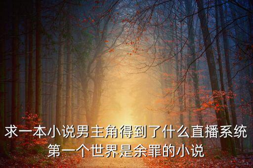 求一本小說(shuō)男主角得到了什么直播系統(tǒng)第一個(gè)世界是余罪的小說(shuō)