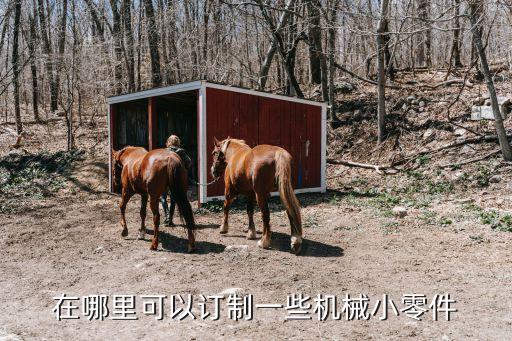 在哪里可以訂制一些機械小零件