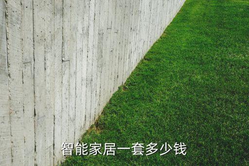 智能家居一套多少錢