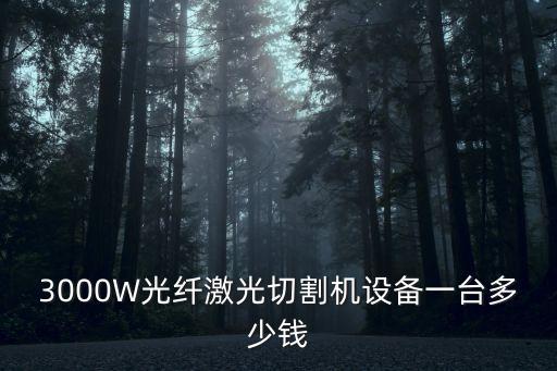 3000W光纖激光切割機(jī)設(shè)備一臺(tái)多少錢