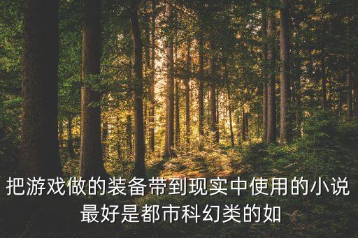 把游戲做的裝備帶到現(xiàn)實中使用的小說 最好是都市科幻類的如