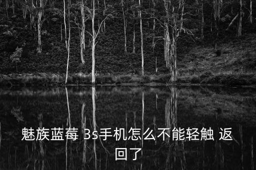 魅藍(lán)3s自動(dòng)返回,魅族科技成立50年手機(jī)廠商入圍中國(guó)品牌榜