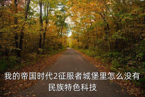我的帝國時代2征服者城堡里怎么沒有民族特色科技