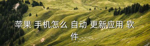 手機(jī)怎么自動更新軟件,need-1軟件怎么辦?