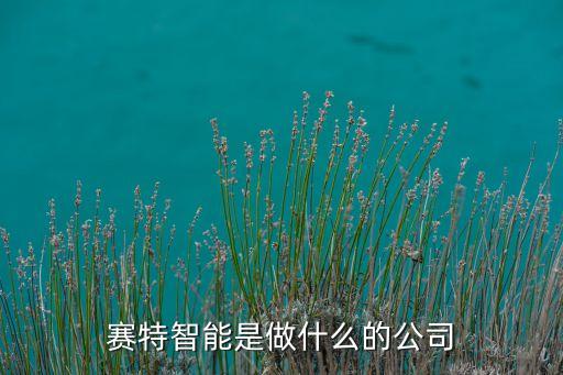 賽特智能是做什么的公司