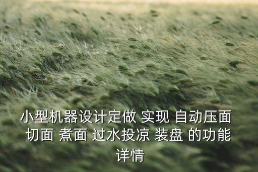 小型機(jī)器設(shè)計(jì)定做 實(shí)現(xiàn) 自動壓面 切面 煮面 過水投涼 裝盤 的功能 詳情