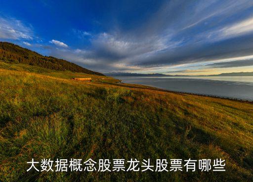 大數(shù)據(jù)概念股票龍頭股票有哪些