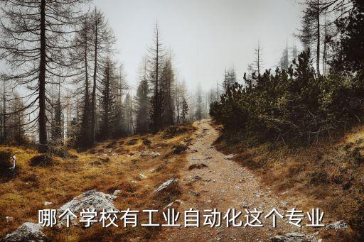 哪個(gè)學(xué)校有工業(yè)自動(dòng)化這個(gè)專業(yè)