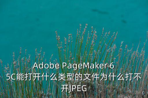Adobe PageMaker 65C能打開(kāi)什么類型的文件為什么打不開(kāi)JPEG