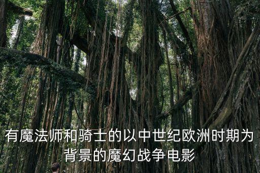 騎士的魔法戰(zhàn)爭，后宮神作動漫 魔法之類 男主一開始很弱后來變強了