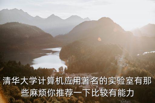 清華大學(xué)計(jì)算機(jī)應(yīng)用著名的實(shí)驗(yàn)室有那些麻煩你推薦一下比較有能力