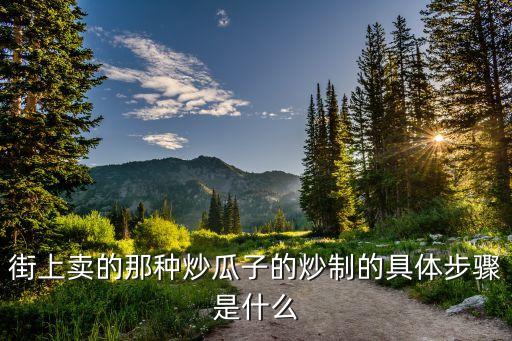炒貨機(jī)炒瓜子教程視頻，用炒貨機(jī)怎樣炒瓜子
