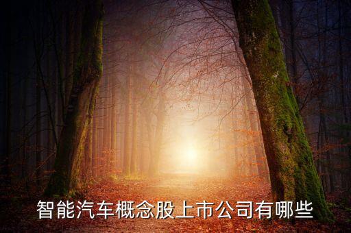 自動駕駛龍頭上市公司，智能汽車概念股上市公司有哪些
