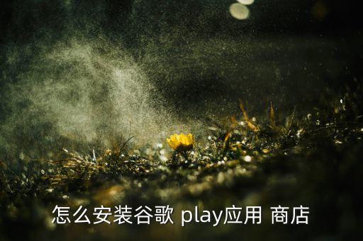 play商店自動安裝,怎么安裝和使用googleout?