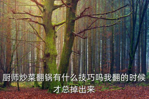 廚師炒菜翻鍋有什么技巧嗎我翻的時候才總掉出來