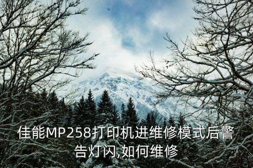 mp258 自動進(jìn)紙,第四步:打開維護(hù)工具開始維護(hù)服務(wù)