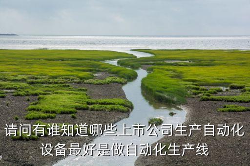 請問有誰知道哪些上市公司生產(chǎn)自動化設備最好是做自動化生產(chǎn)線