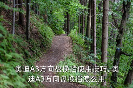 半自動(dòng)奧迪,奧迪a3空調(diào)制熱方式為半自動(dòng)空調(diào)