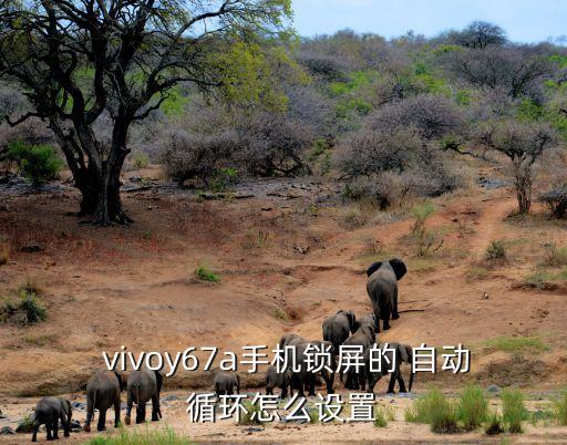  vivoy67a手機(jī)鎖屏的 自動循環(huán)怎么設(shè)置