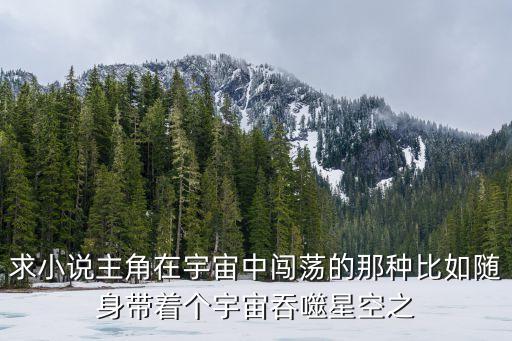 求小說主角在宇宙中闖蕩的那種比如隨身帶著個宇宙吞噬星空之