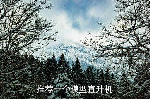推薦一個模型直升機