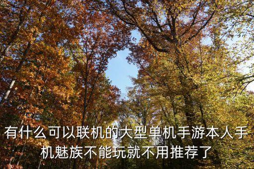 有什么可以聯(lián)機(jī)的大型單機(jī)手游本人手機(jī)魅族不能玩就不用推薦了