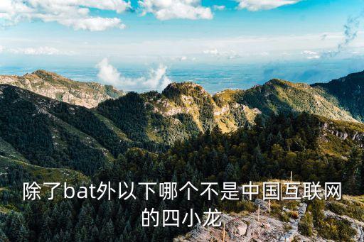 中國ai智能四小龍股票，股市的四小龍分別哪幾股