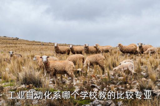 工業(yè)自動(dòng)化學(xué)院，工業(yè)自動(dòng)化系哪個(gè)學(xué)校教的比較專業(yè)