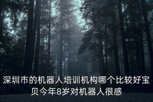 深圳市的機(jī)器人培訓(xùn)機(jī)構(gòu)哪個(gè)比較好寶貝今年8歲對(duì)機(jī)器人很感