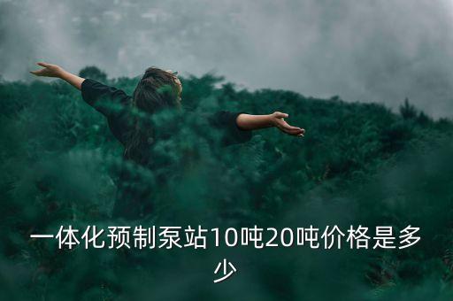 一體化預(yù)制泵站10噸20噸價(jià)格是多少