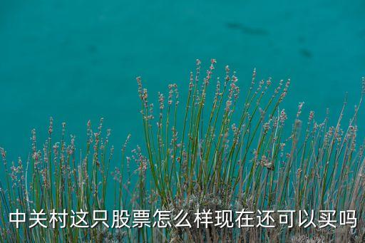 中關村這只股票怎么樣現(xiàn)在還可以買嗎