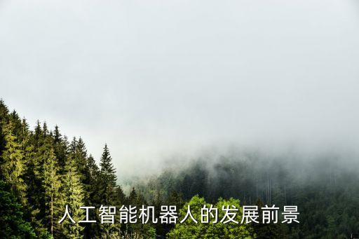 Ai人工智能機(jī)器人，人工智能機(jī)器人的發(fā)展前景