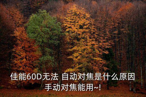 佳能60D無法 自動對焦是什么原因手動對焦能用~!