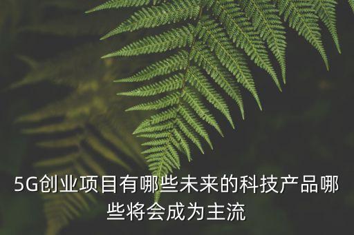 5G創(chuàng)業(yè)項目有哪些未來的科技產(chǎn)品哪些將會成為主流